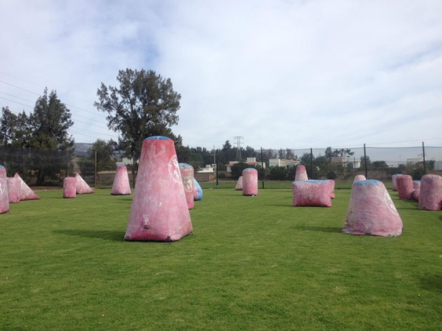 Entrenamiento dominguero